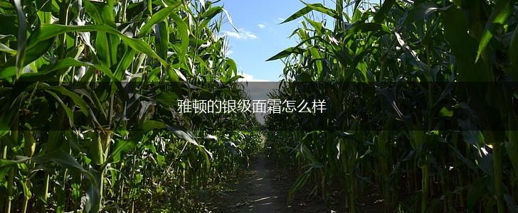 雅顿的银级面霜怎么样,第1张