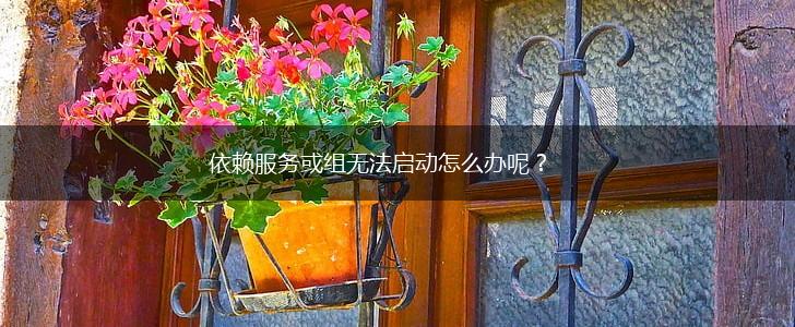 依赖服务或组无法启动怎么办呢？,第1张