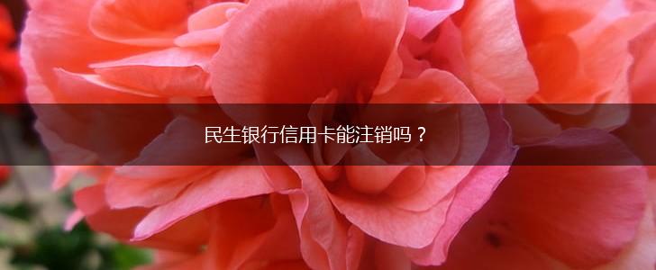 民生银行信用卡能注销吗？,第1张