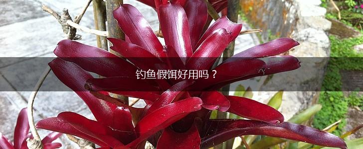 钓鱼假饵好用吗？,第1张