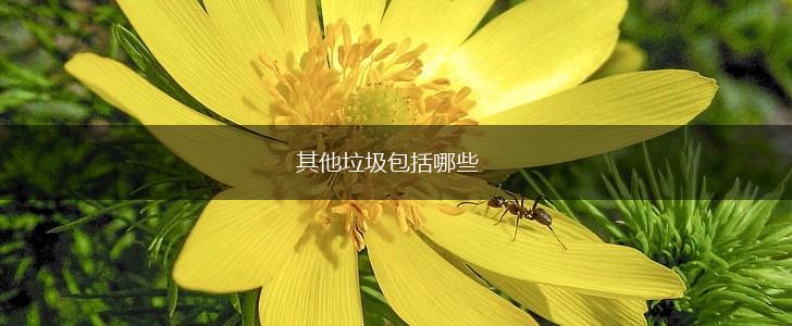 其他垃圾包括哪些,第1张