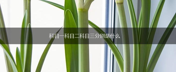 科目一科目二科目三分别是什么,第1张