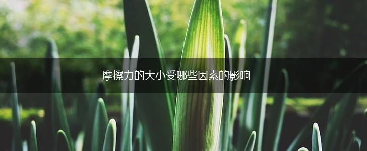 摩擦力的大小受哪些因素的影响,第1张