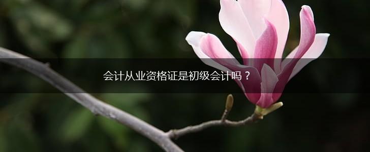 会计从业资格证是初级会计吗？,第1张
