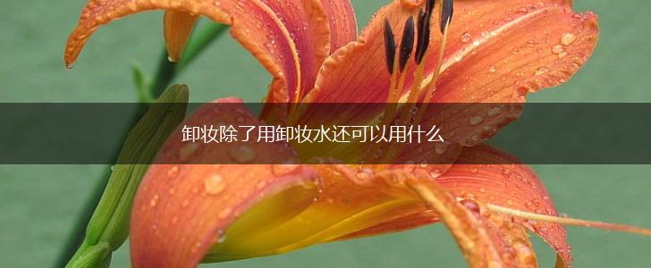 卸妆除了用卸妆水还可以用什么,第1张