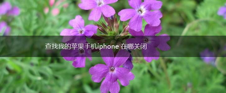 查找我的苹果手机iphone 在哪关闭,第1张