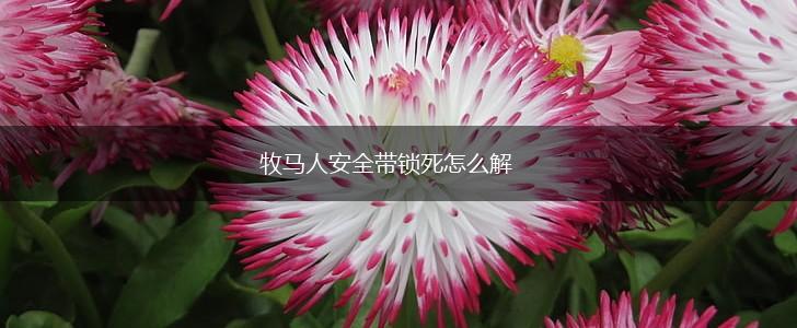 牧马人安全带锁死怎么解,第1张
