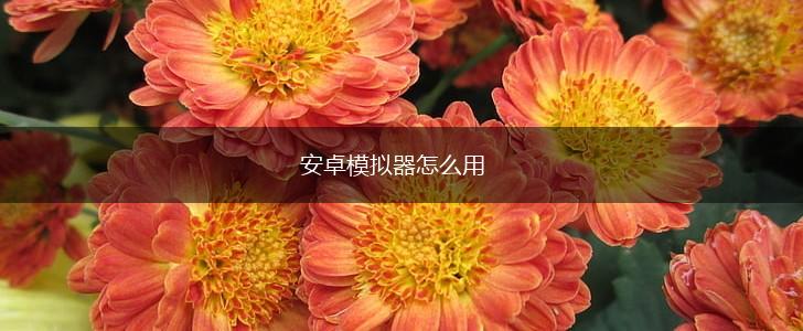 安卓模拟器怎么用,第1张