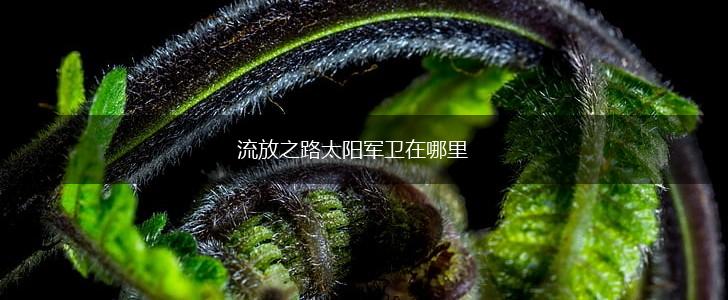 流放之路太阳军卫在哪里,第1张