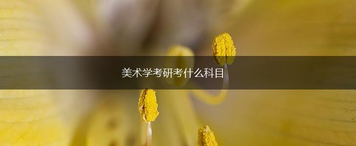 美术学考研考什么科目,第1张
