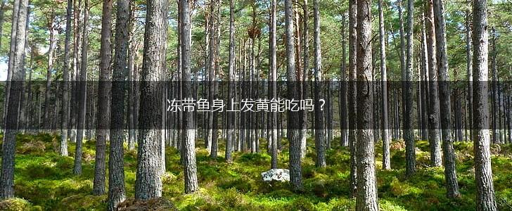 冻带鱼身上发黄能吃吗？,第1张