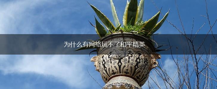 为什么有网络玩不了和平精英,第1张