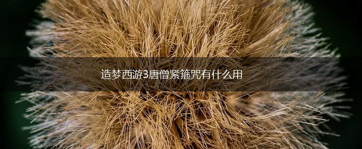造梦西游3唐僧紧箍咒有什么用,第1张