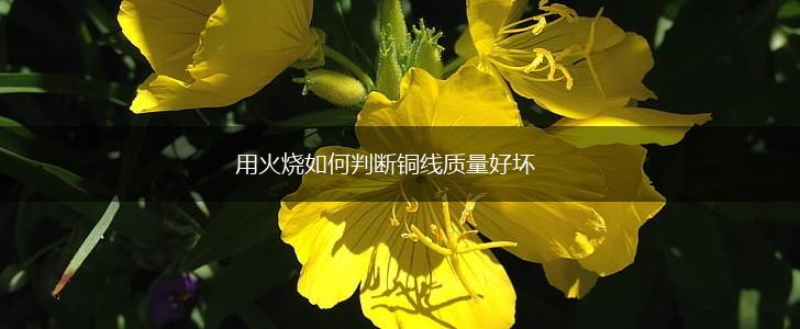 用火烧如何判断铜线质量好坏,第1张