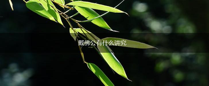 戴佛公有什么讲究,第1张