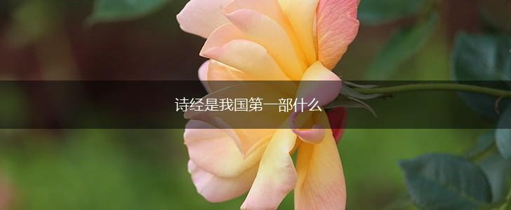 诗经是我国第一部什么,第1张