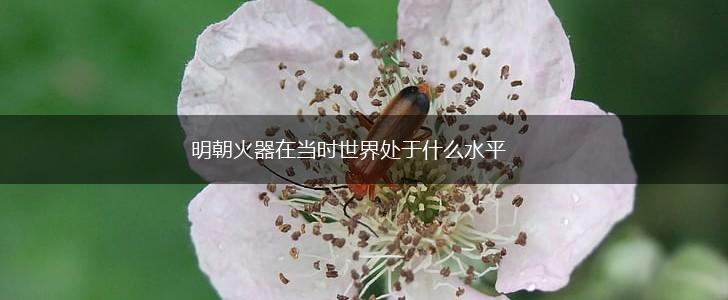 明朝火器在当时世界处于什么水平,第1张