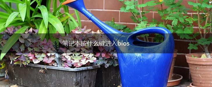 笔记本按什么键进入bios,第1张 笔记本按什么键进入bios,第1张
