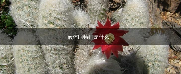 液体的特征是什么,第1张