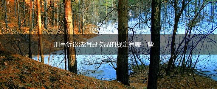 刑事诉讼法消毁物品的规定有哪一些,第1张