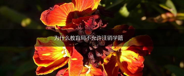 为什么教育局不允许注销学籍,第1张