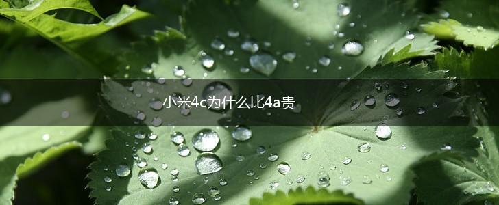 小米4c为什么比4a贵,第1张