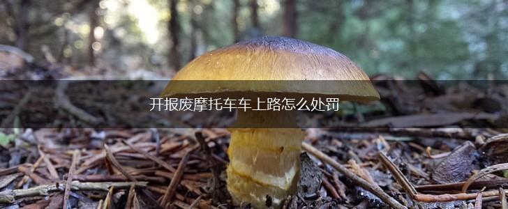 开报废摩托车车上路怎么处罚,第1张