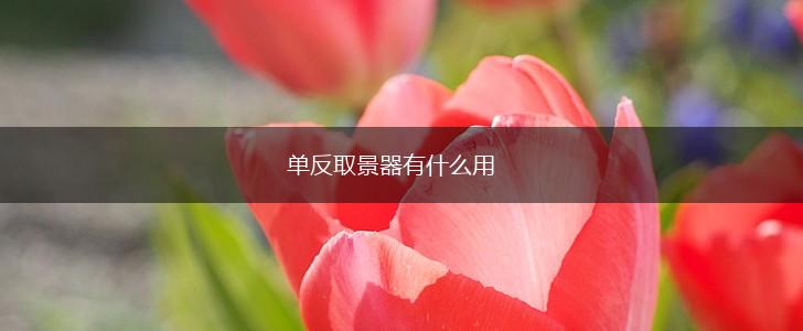 单反取景器有什么用,第1张