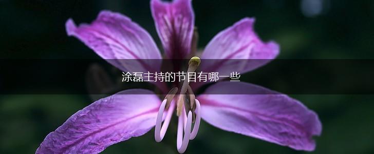 涂磊主持的节目有哪一些,第1张