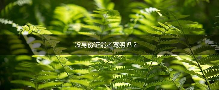 没身份证能考驾照吗？,第1张