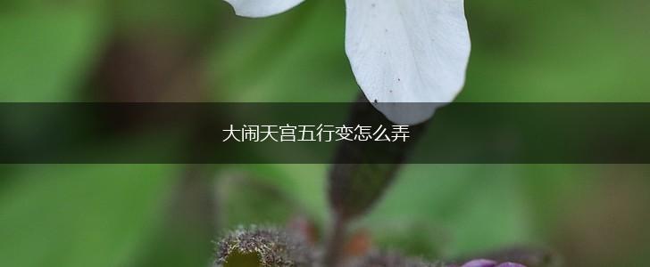 大闹天宫五行变怎么弄,第1张
