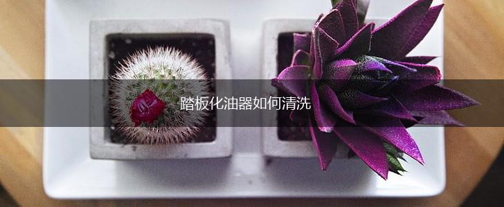 踏板化油器如何清洗,第1张