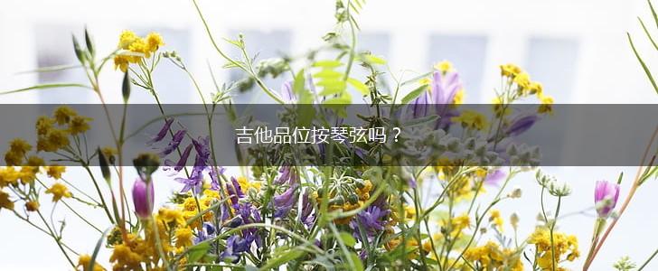 吉他品位按琴弦吗？,第1张