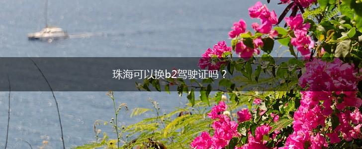珠海可以换b2驾驶证吗？,第1张