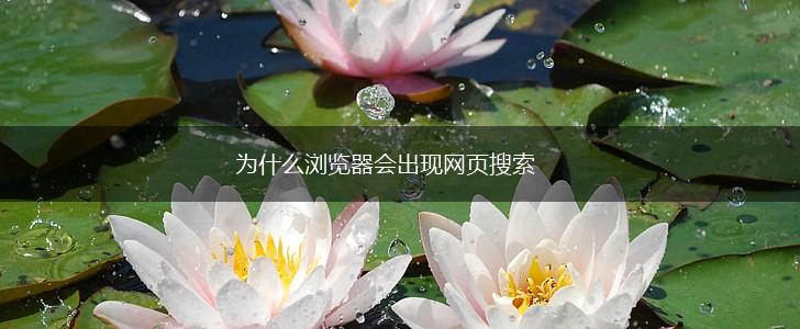 为什么浏览器会出现网页搜索,第1张