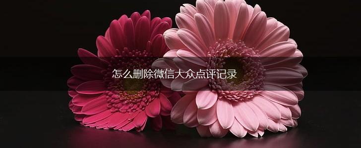 怎么删除微信大众点评记录,第1张