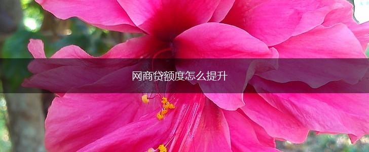 网商贷额度怎么提升,第1张