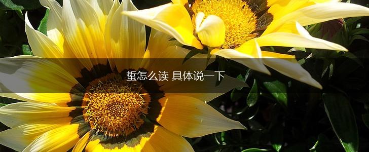 蜇怎么读 具体说一下,第1张