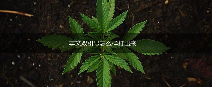 英文双引号怎么样打出来,第1张