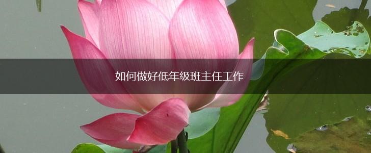 如何做好低年级班主任工作,第1张