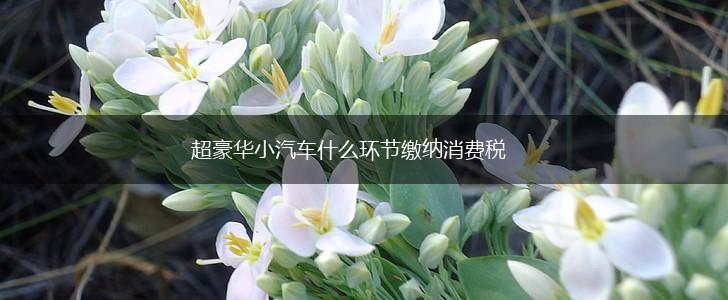 超豪华小汽车什么环节缴纳消费税,第1张