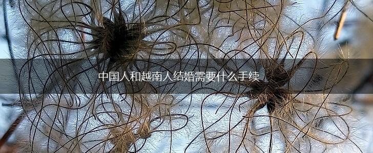 中国人和越南人结婚需要什么手续,第1张