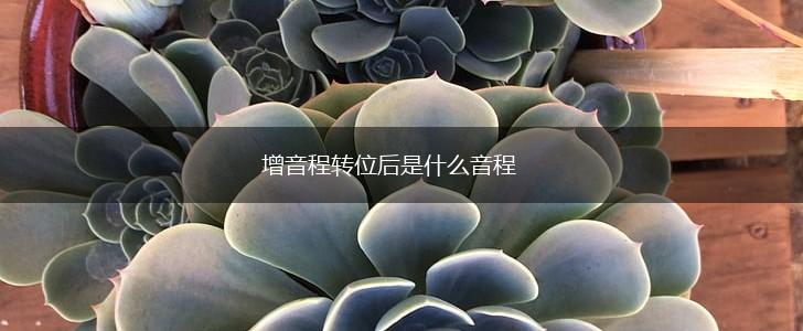 增音程转位后是什么音程,第1张
