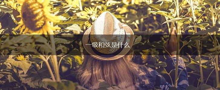 一级和弦是什么,第1张