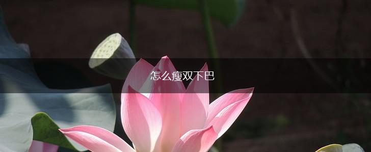 怎么瘦双下巴,第1张