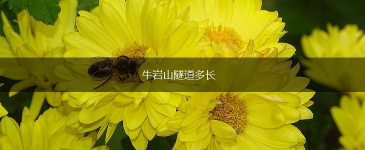 牛岩山隧道多长,第1张