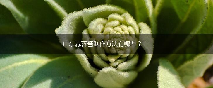 广东蒜蓉酱制作方法有哪些？,第1张