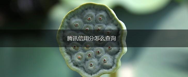 腾讯信用分怎么查询,第1张
