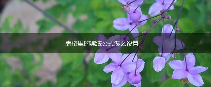 表格里的减法公式怎么设置,第1张