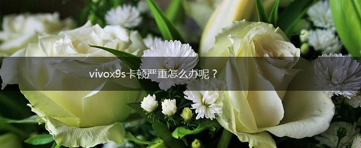 vivox9s卡顿严重怎么办呢？,第1张